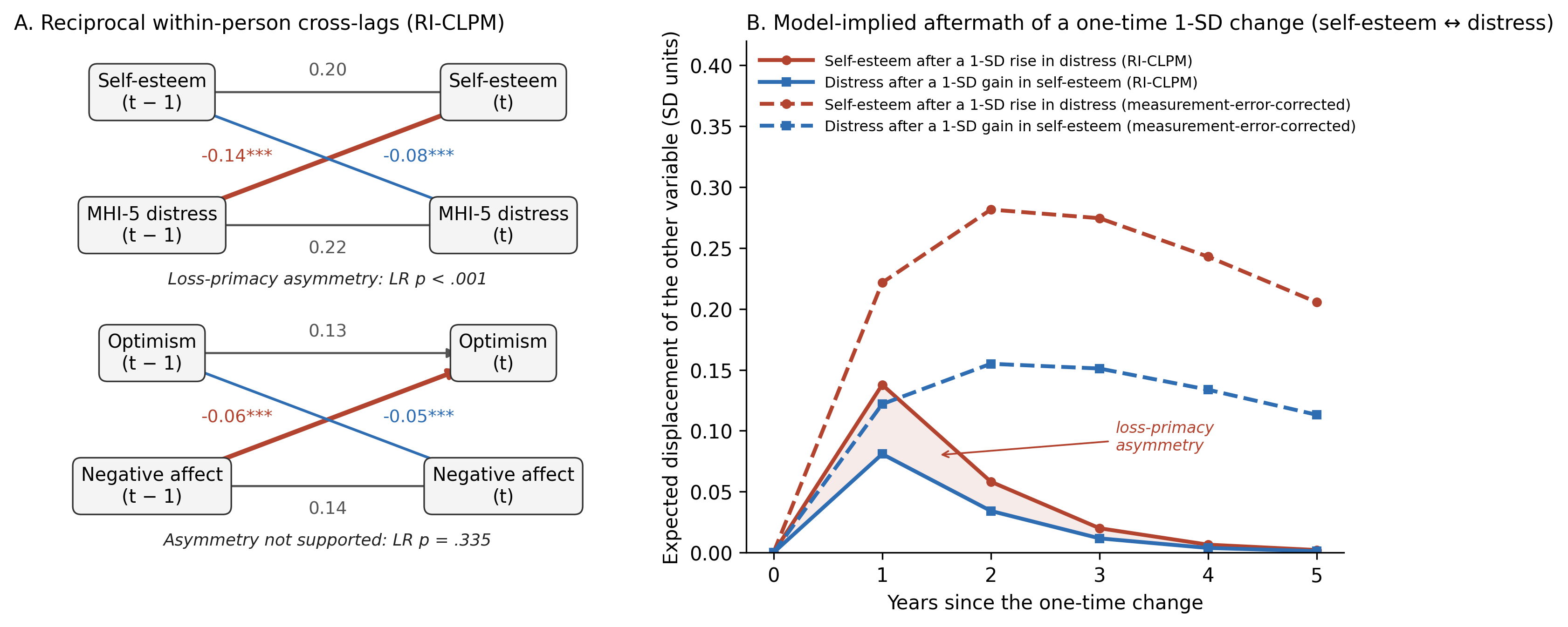 Panel A: two path diagrams of random-intercept cross-lagged panel models. For self-esteem and MHI-5 distress, autoregressions are .20 and .22, the distress-to-self-esteem cross-lag is minus .14 and the self-esteem-to-distress cross-lag is minus .08, loss-primacy asymmetry p less than .001. For optimism and negative affect, autoregressions .13 and .14, cross-lags minus .06 and minus .05, asymmetry not supported, p equals .335. Panel B: expected displacement in SD units over five years after a one-time 1-SD change for the self-esteem and distress pair. Self-esteem after a rise in distress peaks near .14 at year 1; distress after a gain in self-esteem peaks near .08. Dashed measurement-error-corrected curves run higher, peaking near .28 and .15, and decay more slowly.